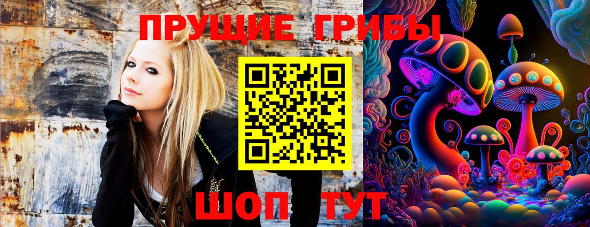 Галлюциногенные грибы Psilocybe  продажа наркотиков  Шебекино  Галлюциногенные грибы Psilocybine cubensis  Вход с VPN 