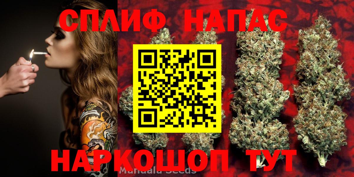 Бошки Шишки VHQ Шебекино